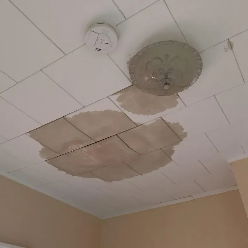 Ceiling Water Damage Repair in Walthall County, MS