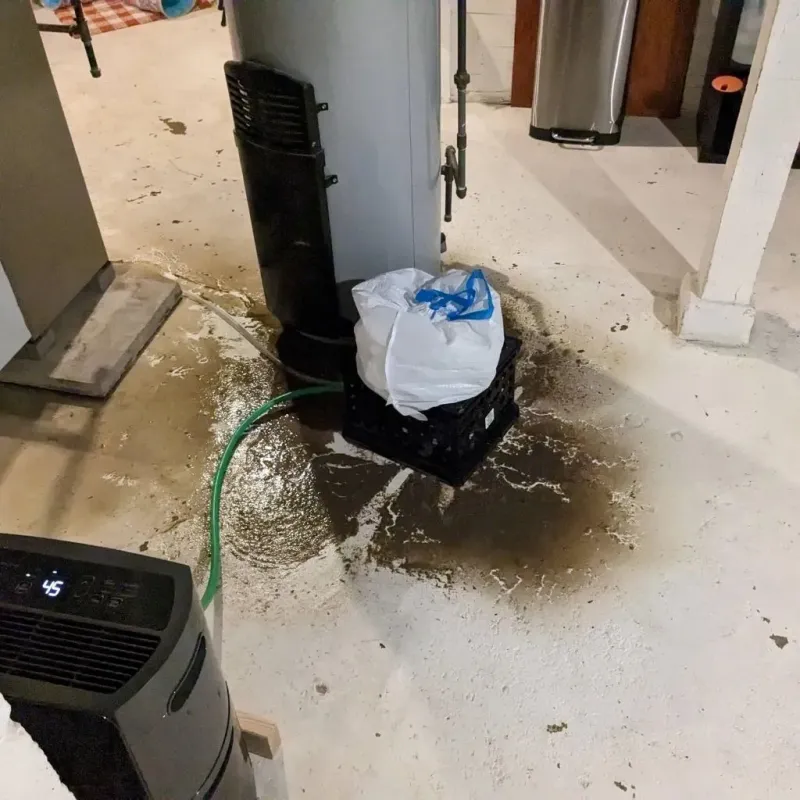 Sewage Backup Cleanup Service in Walthall County, MS